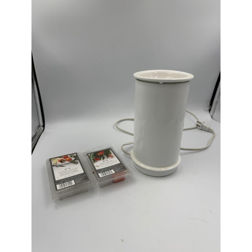 Wax Warmer Electric Wax Melter Tested And Working With Melts READ